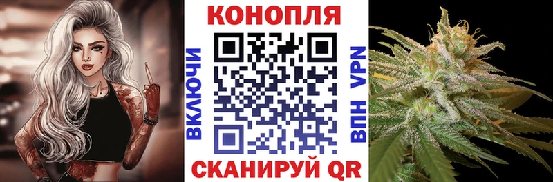 где можно купить   Сосногорск  Каннабис марихуана 